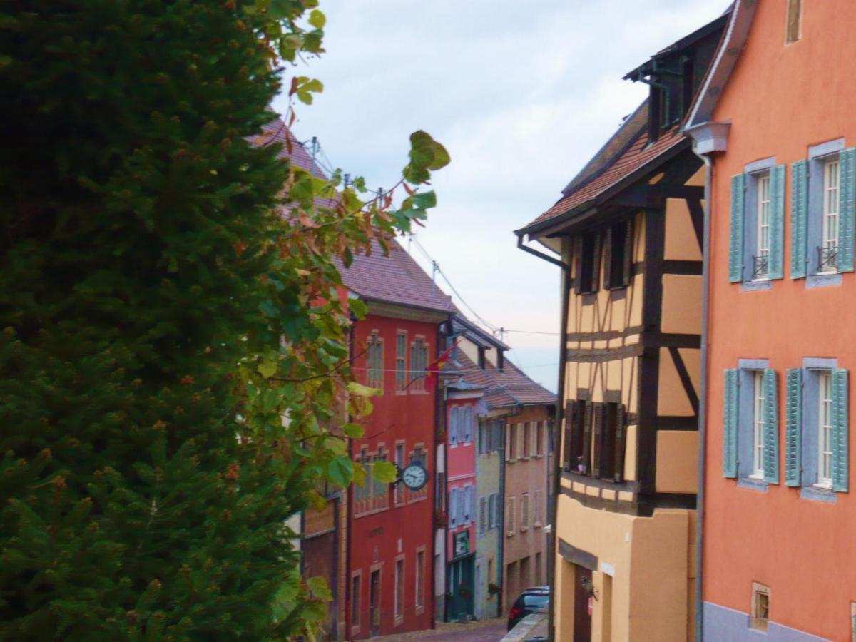 B&B De Charme La Maison Des 5 Temps Ferrette Экстерьер фото