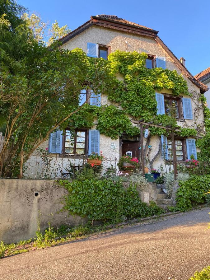 B&B De Charme La Maison Des 5 Temps Ferrette Экстерьер фото