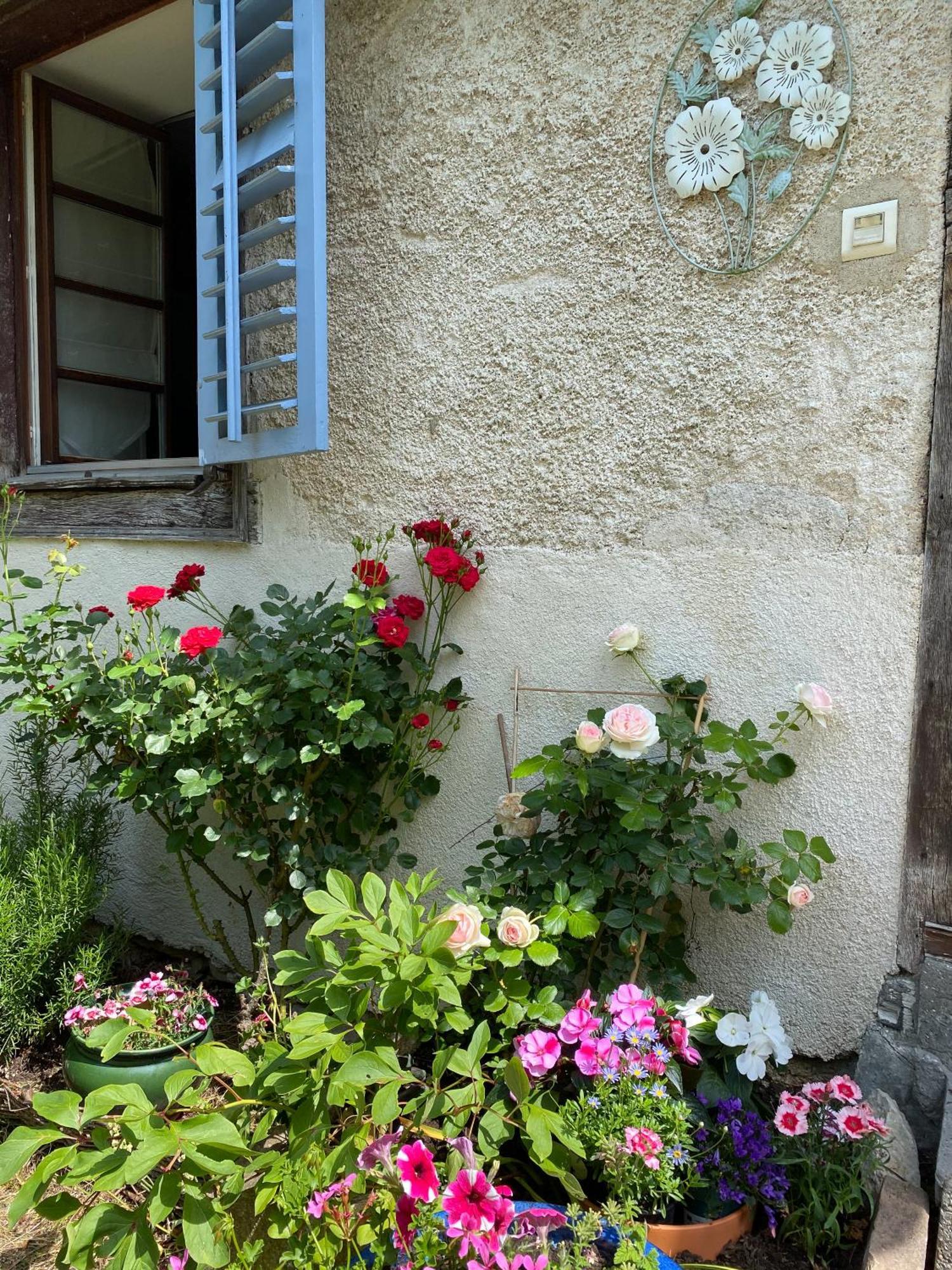 B&B De Charme La Maison Des 5 Temps Ferrette Номер фото